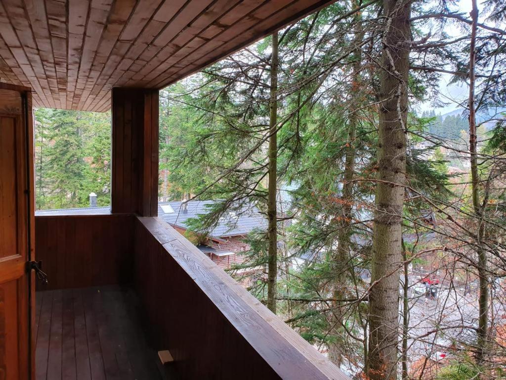 Mikerynos 1 Sinaia